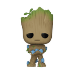 POP 1194 GROOT WITH GRUNDS .