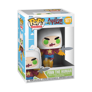 POP 1077 AT FINN THE HUMAN .