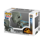 POP 1212 JW BLUE BETA .