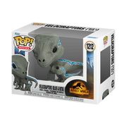 POP 1212 JW BLUE BETA .